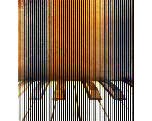 Akustikpaneel digital bedruckt Jazz 2 2400 x 2253 x 19 mm Set = 4 Einzelpaneele Akustikpaneel digital bedruckt Jazz 2 2400 x 2253 x 19 mm Set = 4 Einzelpaneele