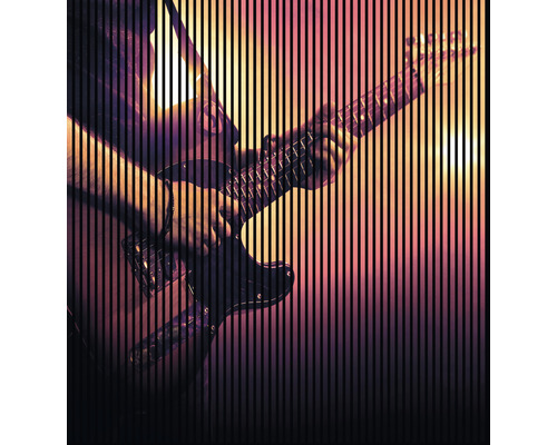 Akustikpaneel digital bedruckt Riff 1 2400 x 2253 x 19 mm Set = 4 Einzelpaneele Akustikpaneel digital bedruckt Riff 1 2400 x 2253 x 19 mm Set = 4 Einzelpaneele