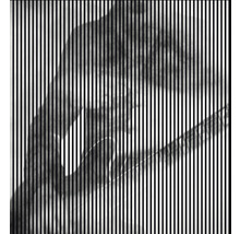 Akustikpaneel digital bedruckt Riff 2 2400 x 2253 x 19 mm Set = 4 Einzelpaneele