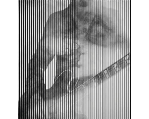 Akustikpaneel digital bedruckt Riff 2 2400 x 2253 x 19 mm Set = 4 Einzelpaneele Akustikpaneel digital bedruckt Riff 2 2400 x 2253 x 19 mm Set = 4 Einzelpaneele