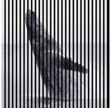 Akustikpaneel digital bedruckt Wal 2 1195 x 1133 x 19 mm Set = 2 Einzelpaneele