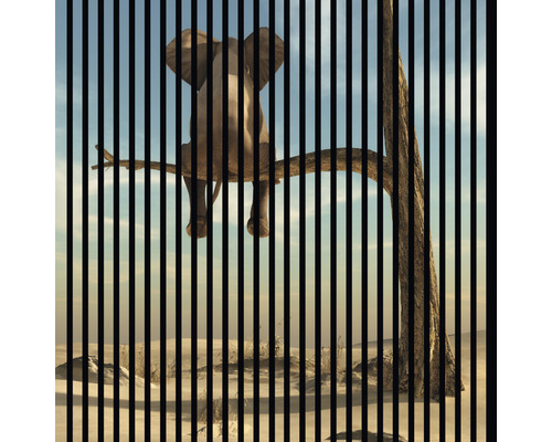 Akustikpaneel digital bedruckt Elefant 2 1195 x 1133 x 19 mm Set = 2 Einzelpaneele Akustikpaneel digital bedruckt Elefant 2 1195 x 1133 x 19 mm Set = 2 Einzelpaneele