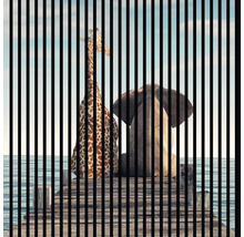 Panneau acoustique impression numérique Love 1 1195 x 1133 x 19 mm set = 2 panneaux individuels