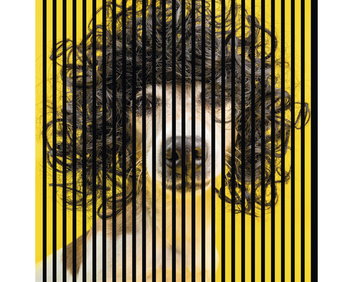 Akustikpaneel digital bedruckt Dog 2 1195 x 1133 x 19 mm Set = 2 Einzelpaneele Akustikpaneel digital bedruckt Dog 2 1195 x 1133 x 19 mm Set = 2 Einzelpaneele