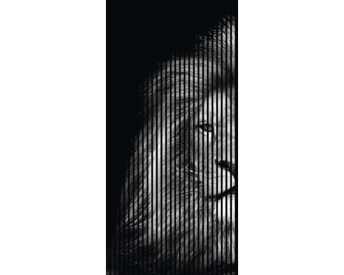 Akustikpaneel digital bedruckt Löwe 1 2400 x 1133 x 19 mm Set = 2 Einzelpaneele Akustikpaneel digital bedruckt Löwe 1 2400 x 1133 x 19 mm Set = 2 Einzelpaneele