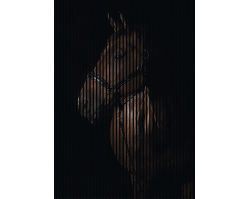 Panneau acoustique impression numérique Cheval 1 2400 x 1693 x 19 mm set = 3 panneaux individuels