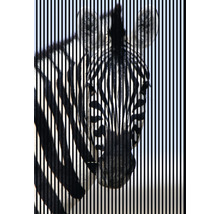 Akustikpaneel digital bedruckt Zebra 1 2400 x 1693 x 19 mm Set = 3 Einzelpaneele