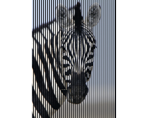 Akustikpaneel digital bedruckt Zebra 1 2400 x 1693 x 19 mm Set = 3 Einzelpaneele Akustikpaneel digital bedruckt Zebra 1 2400 x 1693 x 19 mm Set = 3 Einzelpaneele