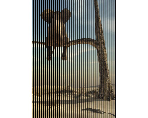 Panneau acoustique impression numérique Éléphant 2 2400 x 1693 x 19 mm set = 3 panneaux individuels