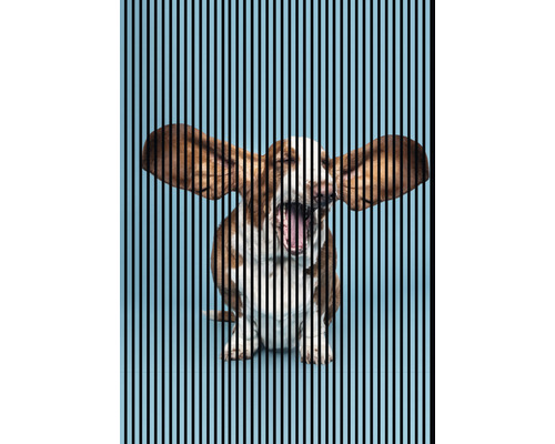 Panneau acoustique impression numérique Dog 1 2400 x 1693 x 19 mm set = 3 panneaux individuels