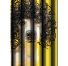Akustikpaneel digital bedruckt Dog 2 2400 x 1693 x 19 mm Set = 3 Einzelpaneele