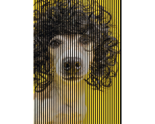 Akustikpaneel digital bedruckt Dog 2 2400 x 1693 x 19 mm Set = 3 Einzelpaneele Akustikpaneel digital bedruckt Dog 2 2400 x 1693 x 19 mm Set = 3 Einzelpaneele