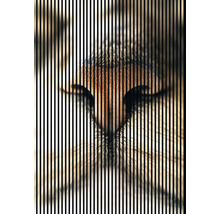 Akustikpaneel digital bedruckt Cat 1 2400 x 1693 x 19 mm Set = 3 Einzelpaneele