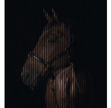Panneau acoustique impression numérique Cheval 1 2400 x 2253 x 19 mm set = 4 panneaux individuels