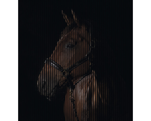 Panneau acoustique impression numérique Cheval 1 2400 x 2253 x 19 mm set = 4 panneaux individuels Panneau acoustique impression numérique Cheval 1 2400 x 2253 x 19 mm set = 4 panneaux individuels