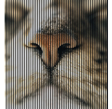 Akustikpaneel digital bedruckt Cat 1 2400 x 2253 x 19 mm Set = 4 Einzelpaneele