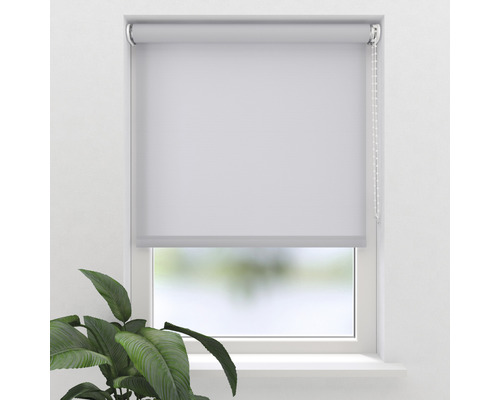 Fenêtre avec store pour réguler la lumière