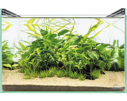 Aquarium mit Pflanzen und Sand