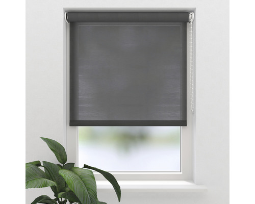 Fenêtre avec store enrouleur gris
