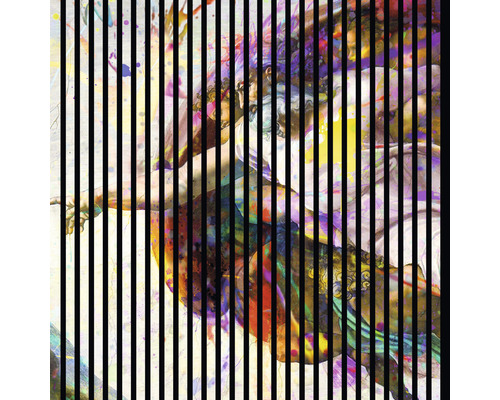 Akustikpaneel digital bedruckt Michelangelo 1 1195 x 1133 x 19 mm Set = 2 Einzelpaneele