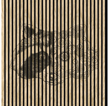 Akustikpaneel digital bedruckt Raccoon 1 1195 x 1133 x 19 mm Set = 2 Einzelpaneele