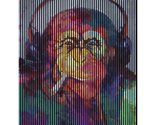 Akustikpaneel digital bedruckt Monkey 2 2400 x 2253 x 19 mm Set = 4 Einzelpaneele Akustikpaneel digital bedruckt Monkey 2 2400 x 2253 x 19 mm Set = 4 Einzelpaneele