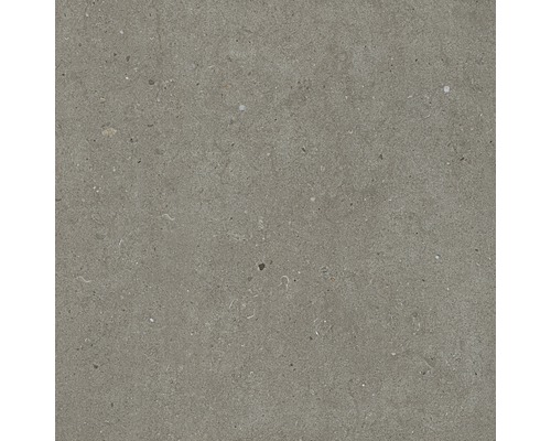 Dalle de terrasse en grès cérame fin Tessin gris 60 x 60 x 2 cm R11 B