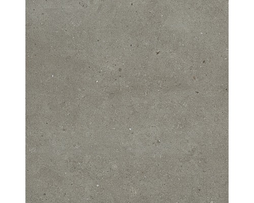 Feinsteinzeug Wand- und Bodenfliese Tessin grau 60 x 60 cm