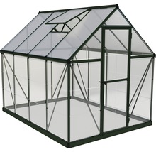 Gewächshaus Palram – Canopia Hybrid 6x8 inkl. Schwerlastregal und Fundament 185 x 247 cm grün