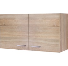 Armoire suspendue Flex Well Samoa lxpxh 100x32x54,8 cm chêne sonoma mat démontée