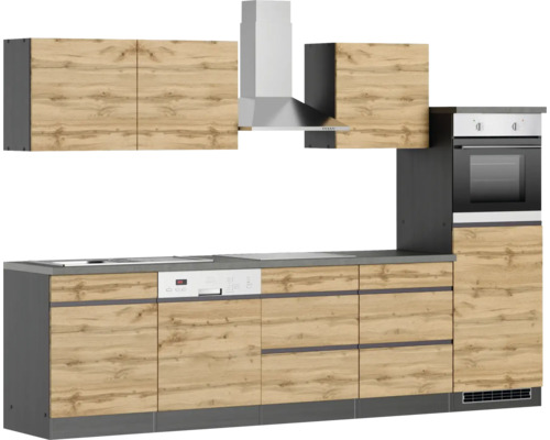 Küchenzeile mit Hängeschränken, Dunstabzugshaube, Spülmaschine und Backofen