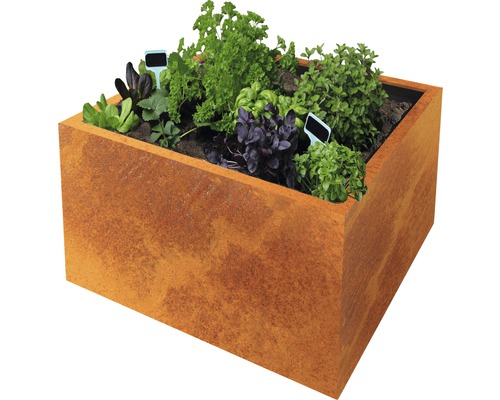 Bac à plantes Clara 60 x 60 x 50 cm acier corten marron Jardinière surélevée en métal plantée de diverses herbes et plantes