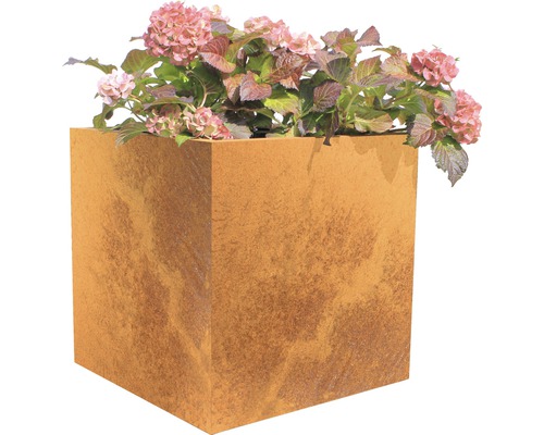 Bac à plantes Nora 50 x 50 x 50 cm acier corten marron Jardinière carrée avec des hortensias