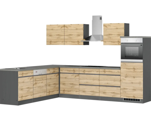 Einbauküche mit Spüle, Geschirrspüler, Kochfeld, Backofen und Dunstabzugshaube