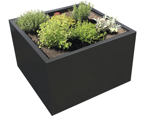 Bac à plantes Palatino Clara 80 x 80 x 50 cm métal anthracite Bac à fleurs carré planté de diverses herbes