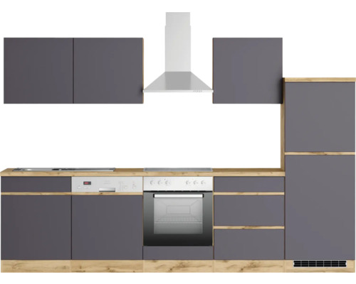 Moderne Küche mit Dunstabzugshaube, Spülmaschine und Einbaubackofen