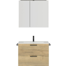 Badezimmermöbel-Set mit Waschtischunterschrank, Waschbecken und Spiegelschrank