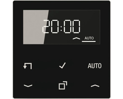 Jung A 1750 D SW minuterie standard avec écran noir façade en verre véritable AS500