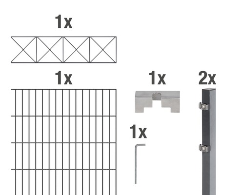 Doppelstabmatten-Set ALBERTS Nexus 200 x 100 cm, 2 m anthrazit