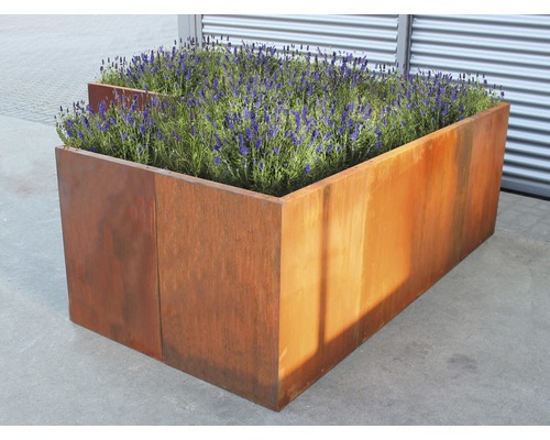 Jardinière surélevée classique palatino Urban 100 x 100 x 70 cm acier Corten Jardinière surélevée en métal avec des plantes