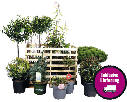 Kit de plantes terrasse FloraSelf env. 30 m² de parterre 11 plantes avec 5 kg d'engrais Hofdünger engrais organique
