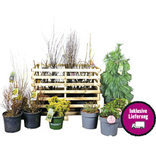 Diverses plantes en pots et une caisse en bois avec le symbole livraison incluse.