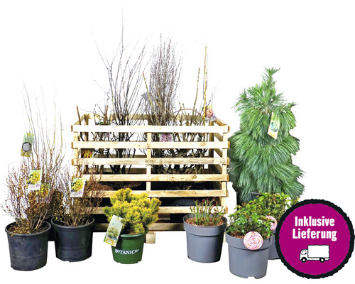 Diverses plantes en pots et une caisse en bois avec le symbole livraison incluse.