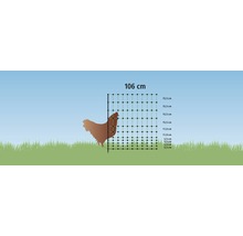 Illustration d''un filet à volaille de 106 centimètres de haut à côté d''une silhouette de poulet