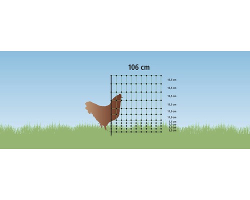 Illustration d''un filet à volaille de 106 centimètres de haut à côté d''une silhouette de poulet