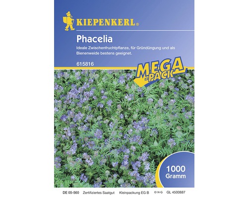 Semence de fleurs de phacélie Kiepenkerl 1 kg