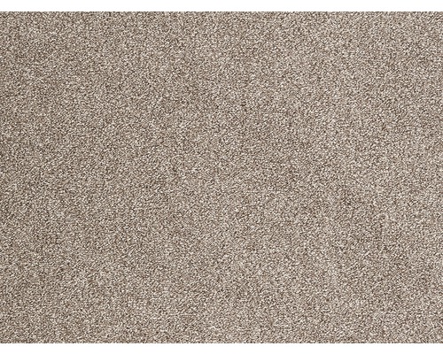 Moquette frisée Evolve beige foncé 500 cm de large (au mètre)