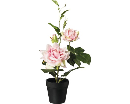 pflanzstab 200 cm 60-200cm Pflanzstbe aus Fiberglas kaufen