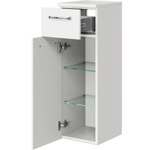 Badezimmerschrank mit einer Schublade, einer Tür und Glasböden