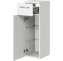 Badezimmerschrank mit Schublade, Tür und Glasböden